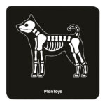 PLANTOYS Κτηνιατρικά εργαλεία - Image 5