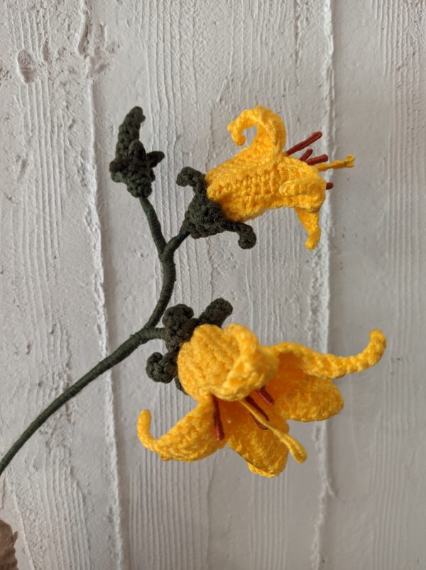 Random CraftWorks Πλεκτή Σάλπιγκα των Αγγέλων - Crocheted Angels Trumpet (Brugmansia)