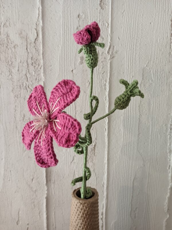 Random CraftWorks Πλεκτό Αγρόστεμμα - Crocheted Agrostemma Githago