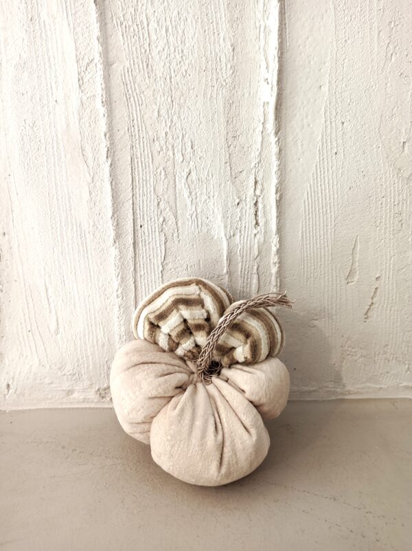 Random CraftWorks Σετ Υφασμάτινες Βελουτέ Κολοκύθες - Fabric Velvet Pumpkin Set - Image 4