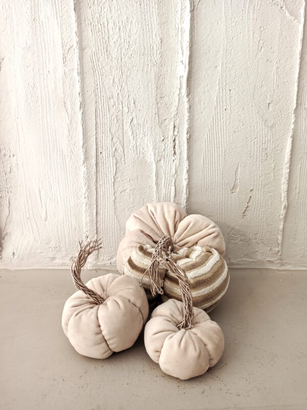 Random CraftWorks Σετ Υφασμάτινες Βελουτέ Κολοκύθες - Fabric Velvet Pumpkin Set